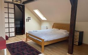 Yamalux Apartments - The Attics - In Buna Ziua